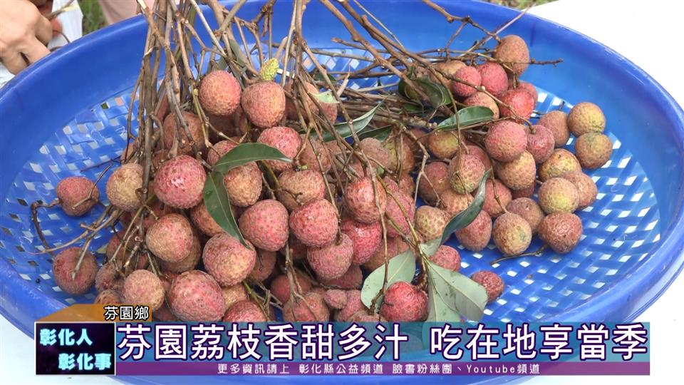 111-06-18吃在地享當季  2022德興社區荔枝農遊活動